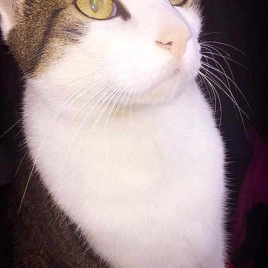Mike