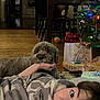 Scout is registered to the contest to win money with this photo: blanket, chair, christmas_lights, christmas_tree, cozy, decorations, dining_table, dog, face, festive, floor, gift, hand, holiday, indoor, person, pet, present, wooden_floor, wrapped