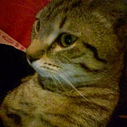 Vaga is registered to the contest to win money with this photo: