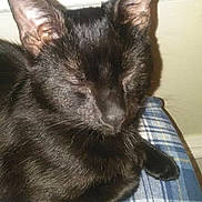 Luna is registered to the contest to win money with this photo: