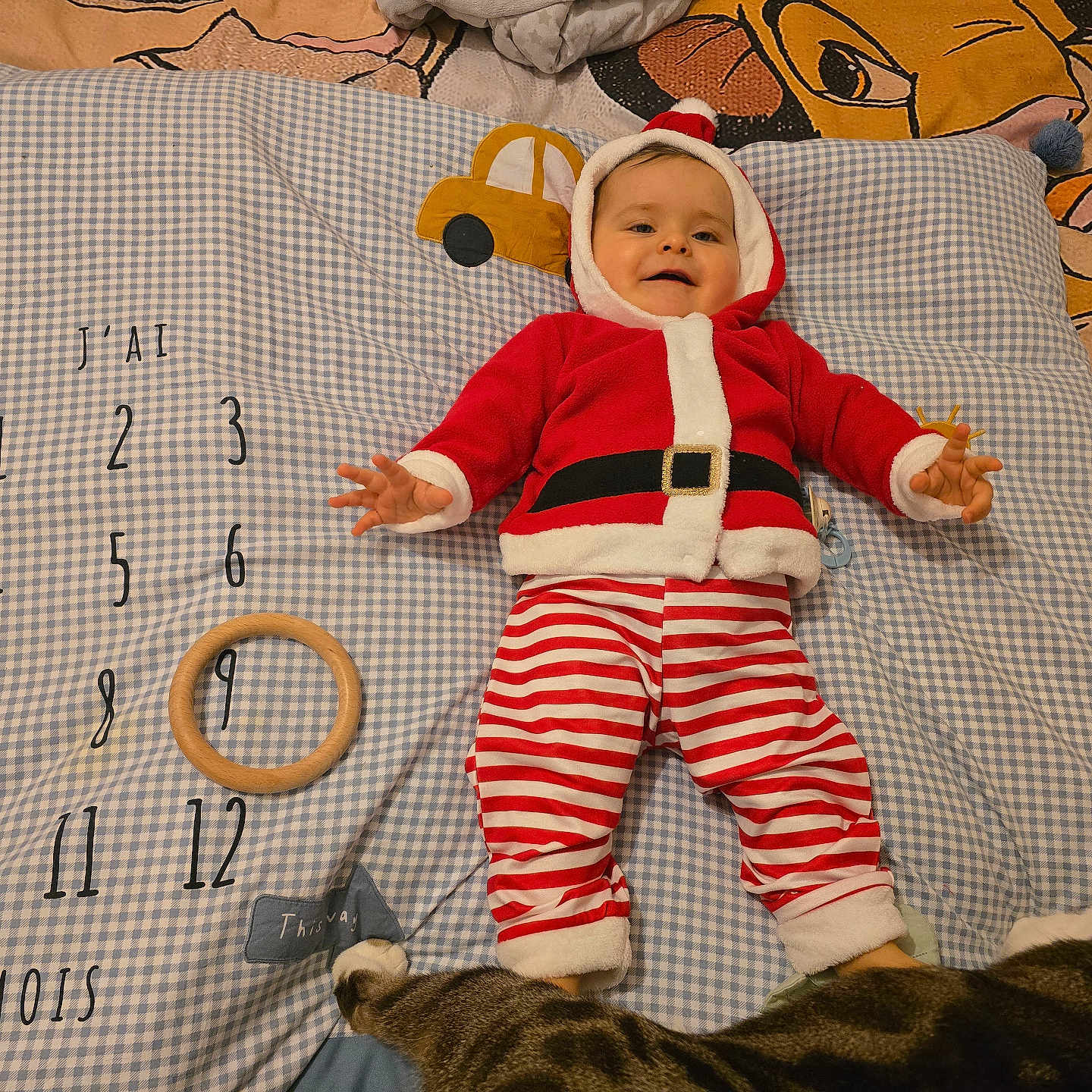 Myllan a rejoint le concours — aidez-le/la à gagner de superbes lots ! animal, baby, blanket, cat, checkered_pattern, child, cute, fabric, feet, holiday_theme, indoor, lying_down, months, numbers, playful, santa_claus_costume, smiling, striped_pants, toy, wooden_ring