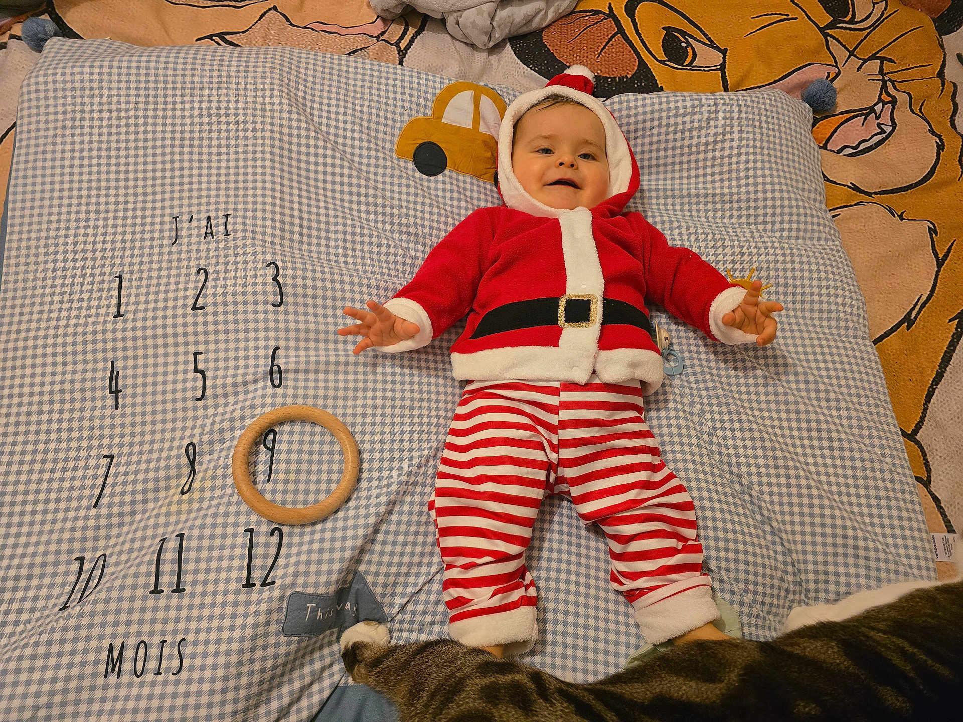 Myllan a rejoint le concours — aidez-le/la à gagner de superbes lots ! baby, santa_claus_costume, striped_pants, blanket, wooden_ring, cat, checkered_pattern, numbers, months, smiling, lying_down, indoor, child, holiday_theme, cute, toy, fabric, animal, feet, playful