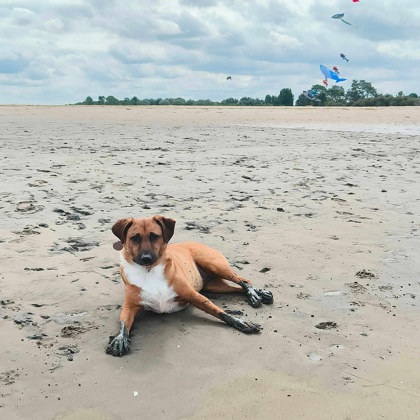 Zoé