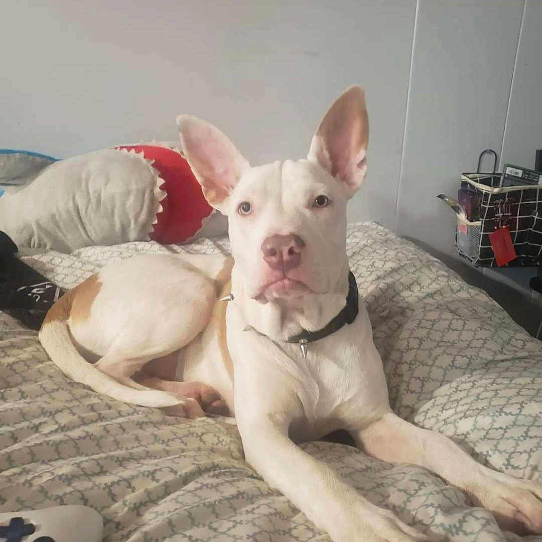 Gracie Mae