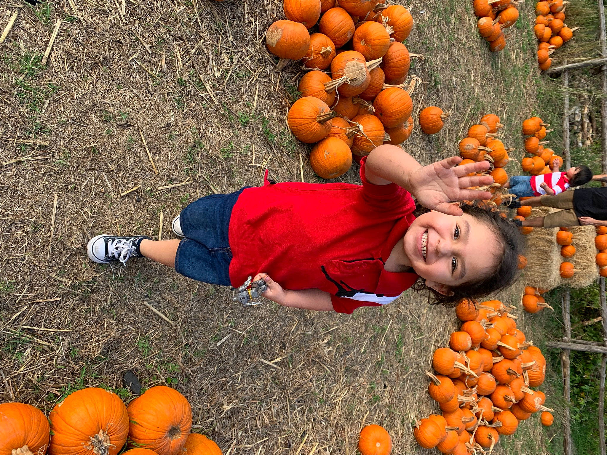 Ezekiel joined the competition — help win amazing prizes! calabaza, cucurbita, food, fruit, gourd, happy, joy, local_food, natural_foods, orange, people, people_in_nature, person, plant, produce, pumpkin, soil, squash, sunglasses, vegetable