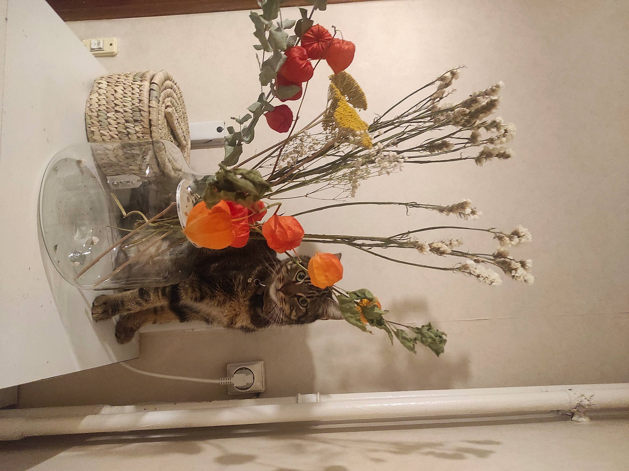 Noe participe au concours pour gagner de l'argent avec cette photo : art, artifact, artificial_flower, christmas_decoration, creative_arts, cut_flowers, event, floral_design, floristry, flower, flower_arranging, glass, interior_design, natural_material, ornament, plant, room, still_life_photography, twig, wood