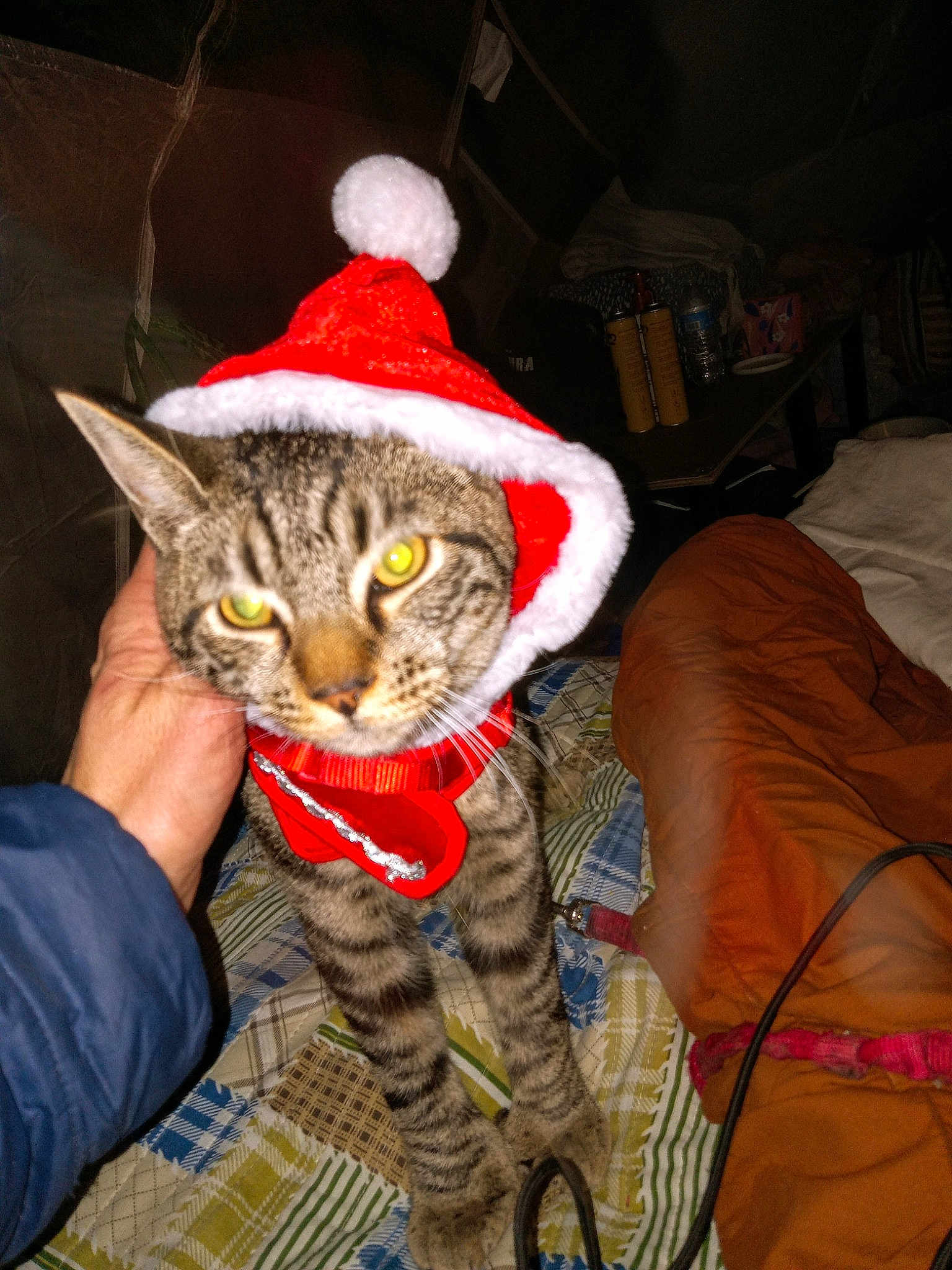 Tyson