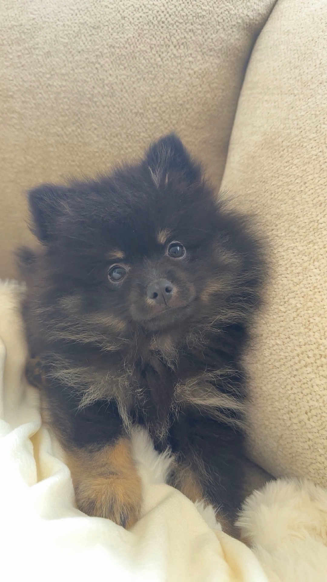 Nacho