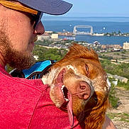 Dakota joined the competition — help win amazing prizes! man, dog, outdoor, scenic_view, water, bridge, red_shirt, cap, beard, tongue_out, happy, pet, nature, sunny, grass, hill, smile, closeup, animal, companionship
