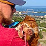 man, dog, outdoor, scenic_view, water, bridge, red_shirt, cap, beard, tongue_out, happy, pet, nature, sunny, grass, hill, smile, closeup, animal, companionship