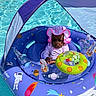 Leilani is registered to the contest to win money with this photo: astronaut_design, baby, child, colorful, face, floatie, infant, inflatable_ring, outdoor, pink_clothing, pool, pool_toy, portrait, sitting, space_theme, striped_clothing, summer, sunhat, swimming, water