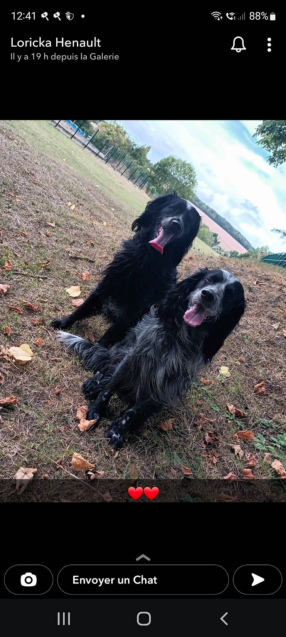 Picsou Et Newton Du Clos Maldav