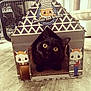 cat, black_cat, cardboard_house, playhouse, indoor, floor, wooden_floor, cartoon, illustration, pet, animal, wide_eyes, curious, cute, feline, home, cute_pet, kitten, cat_toy, cat_house