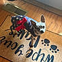 Piper joined the competition — help win amazing prizes! animal, clothing, cozy, curious, cute, dog, door, dress, floor_vent, home, indoor, light, looking_up, paw_prints, pet, red_bow, small_dog, stars, welcome_mat, wooden_floor