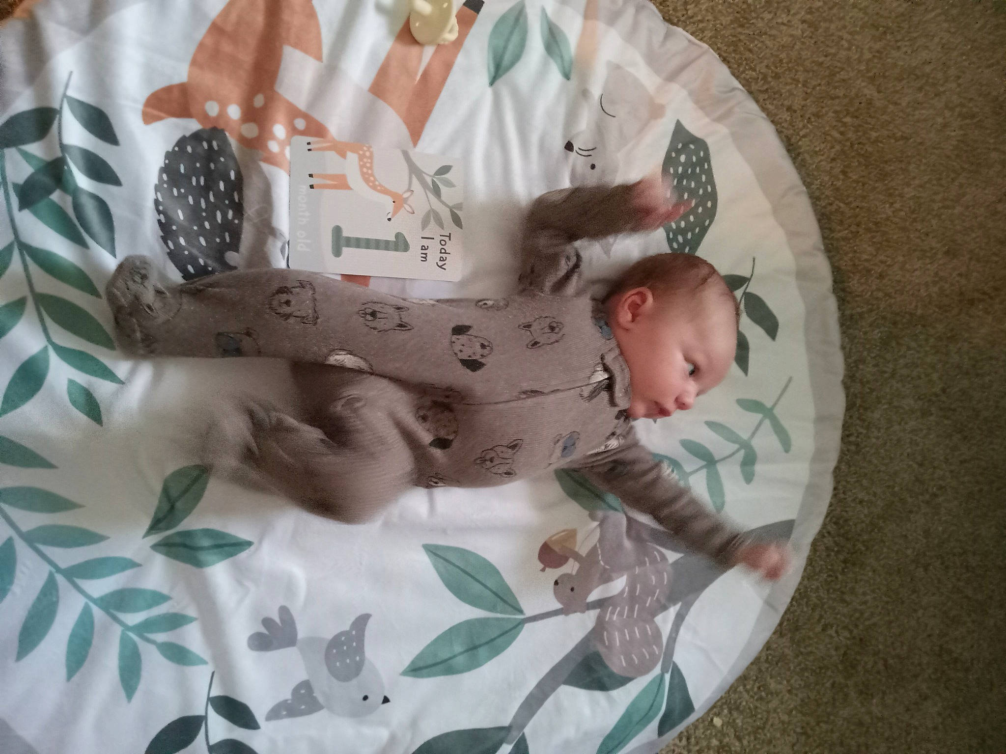 Colten is registered to the contest to win money with this photo: baby, baby_products, baby_safety, baby_sleeping, baby_toddler_clothing, bedding, bedtime, child, comfort, flesh, foot, hand, health_care, linens, nail, pattern, person, room, sleeve, toddler