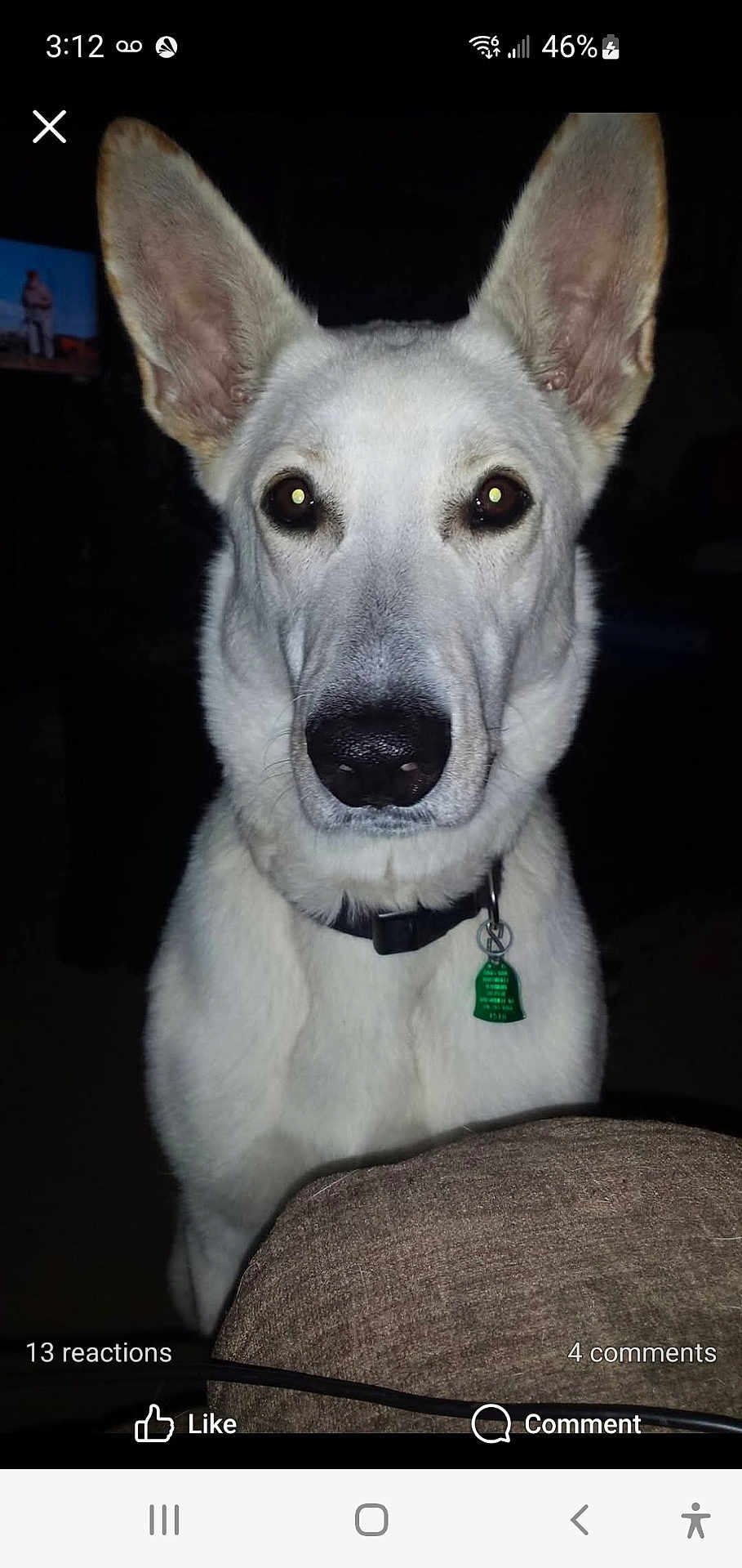 Bella