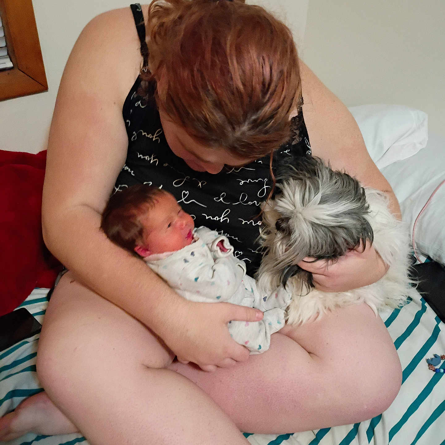 Bella joined the competition — help win amazing prizes! baby, bed, casual, clothing, cuddling, dog, face, hair, hand, holding, home, indoor, newborn, person, pet, pillow, relaxed, skin, striped_bedding, window