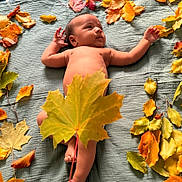 Jovian joined the competition — help win amazing prizes! baby, infant, autumn, leaves, fall, nature, blanket, skin, child, naked, outdoor, colorful, seasonal, leaf, relaxing, lying_down, cute, peaceful, soft, portrait