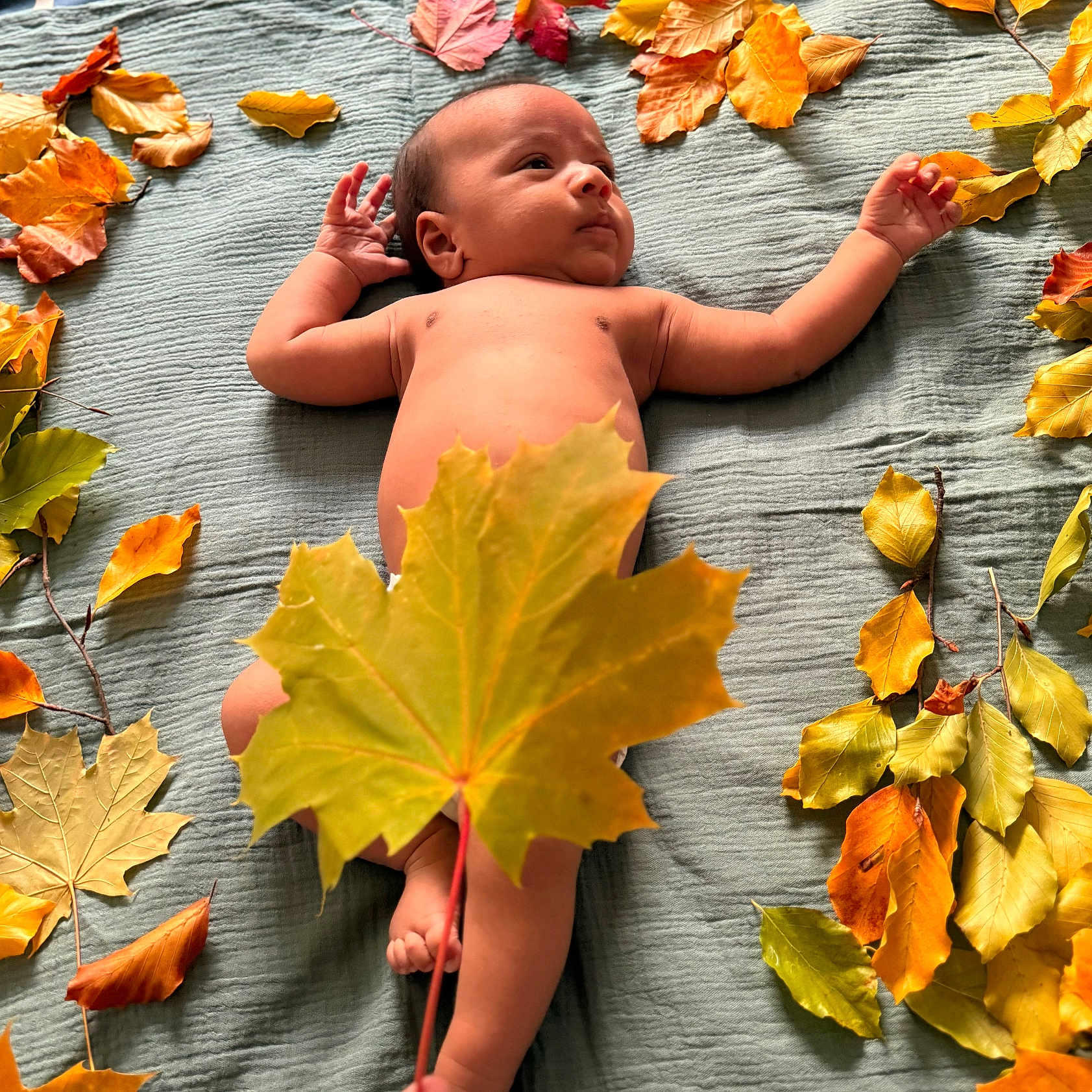 Jovian joined the competition — help win amazing prizes! autumn, baby, blanket, child, colorful, cute, fall, infant, leaf, leaves, lying_down, naked, nature, outdoor, peaceful, portrait, relaxing, seasonal, skin, soft