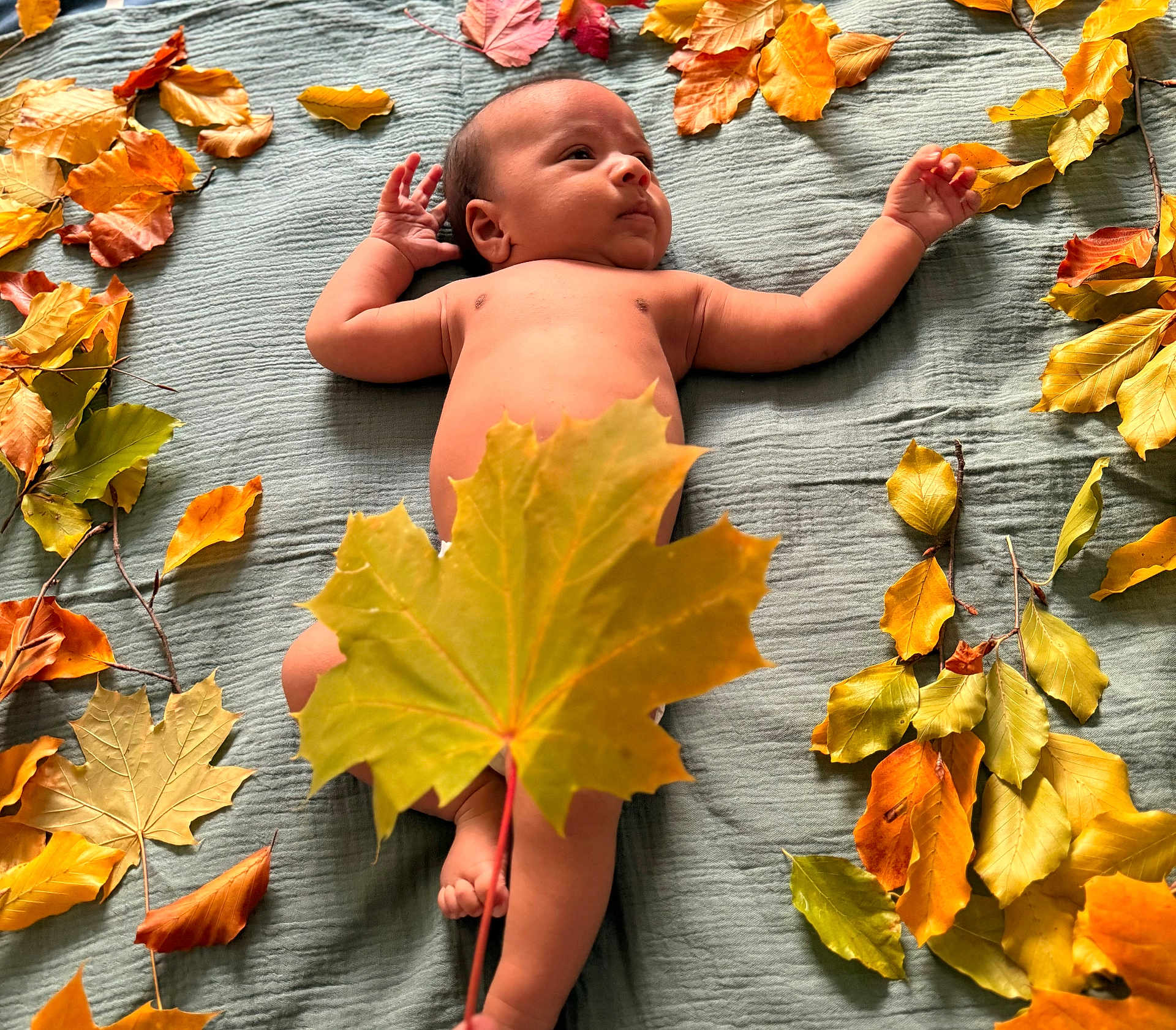 Jovian joined the competition — help win amazing prizes! baby, infant, autumn, leaves, fall, nature, blanket, skin, child, naked, outdoor, colorful, seasonal, leaf, relaxing, lying_down, cute, peaceful, soft, portrait