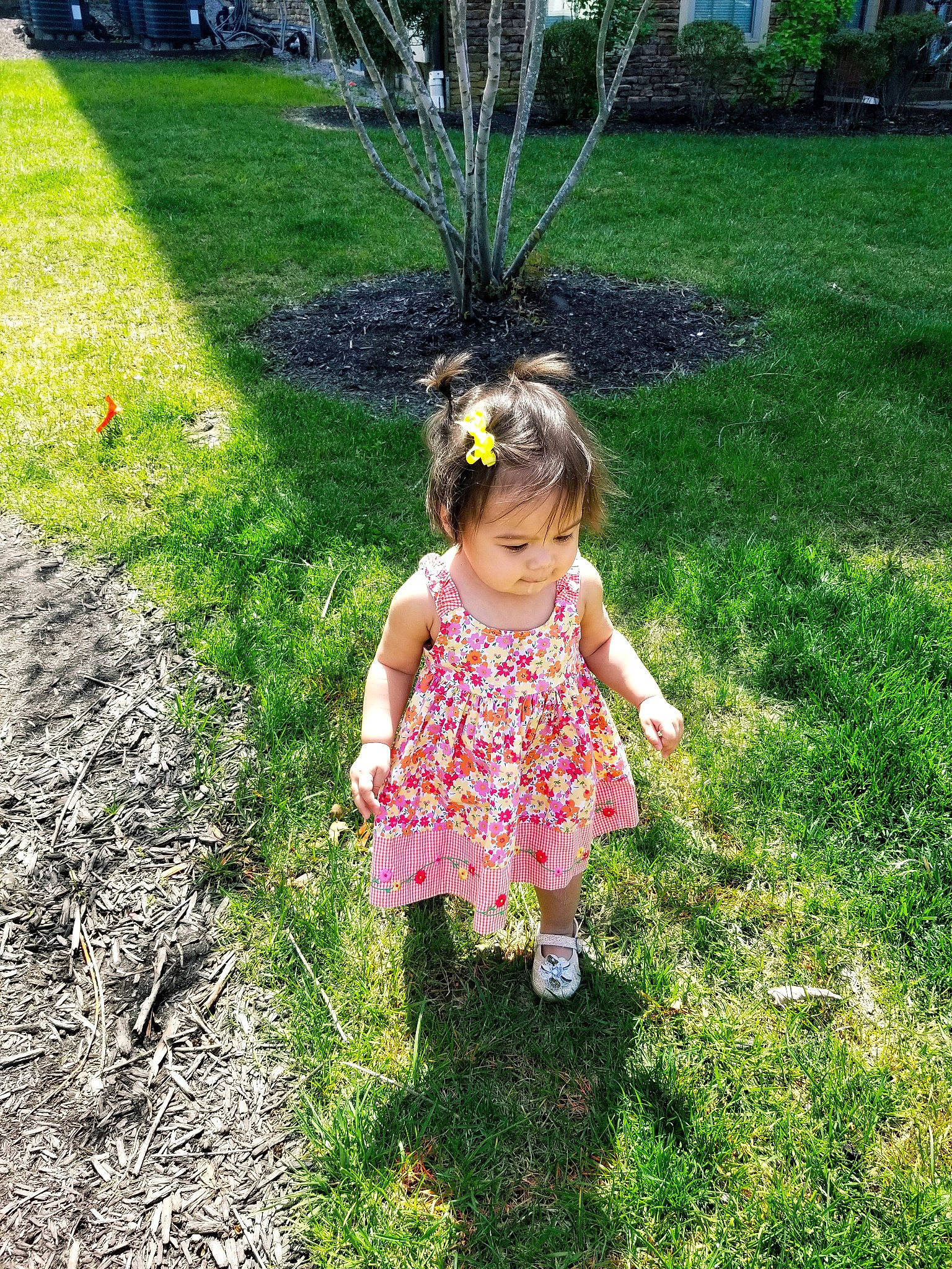 Isabella is registered to the contest to win money with this photo: baby_toddler_clothing, botany, garden, grass, grass_family, grassland, green, groundcover, happy, lawn, leisure, mammal, meadow, nature, people_in_nature, person, plant, terrestrial_plant, toddler, tree