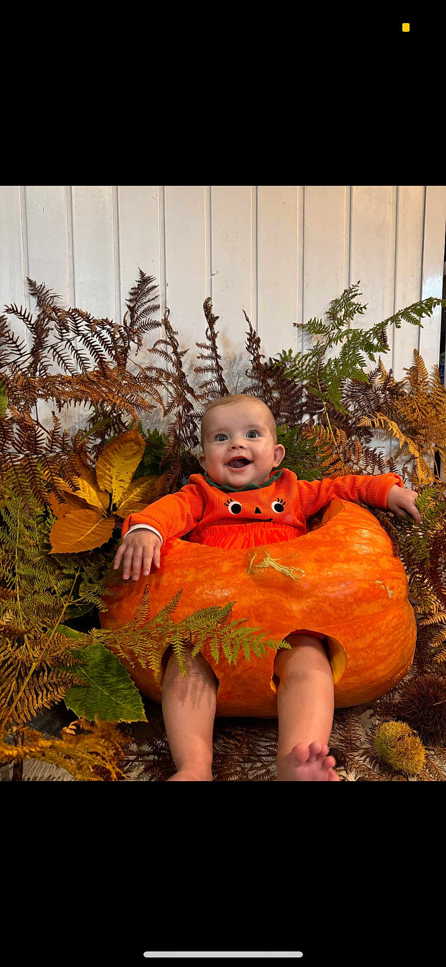 Théa a rejoint le concours — aidez-le/la à gagner de superbes lots ! baby, pumpkin, orange_clothing, smiling, autumn_leaves, ferns, fall, cute, holiday, hollow_pumpkin, child, nature, seasonal, indoor, portrait, happy, legs, feet, festive, costume