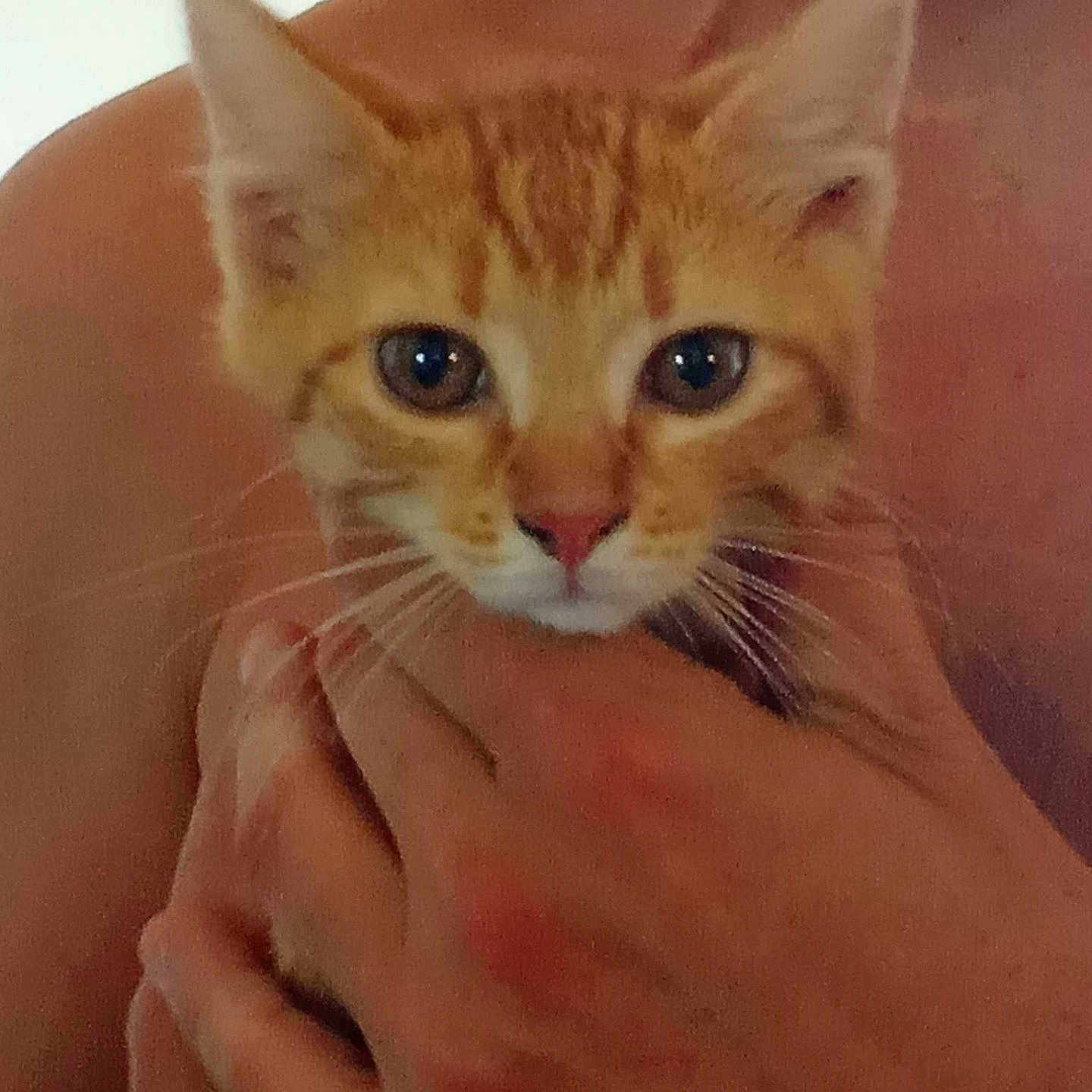 Garfield