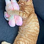 cat, kitten, orange_tabby, sleeping, couch, plush_toy, stuffed_animal, hugging, pet, feline, cute, cozy, resting, indoor, fur, whiskers, paw, tail, relaxed, domestic_animal