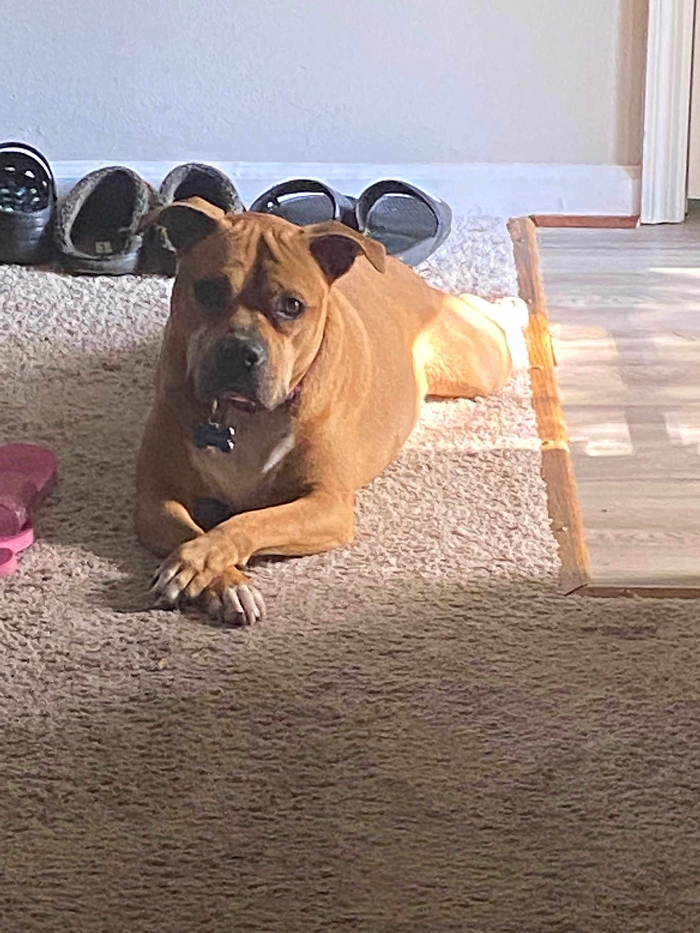 Mimi