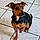 Xena