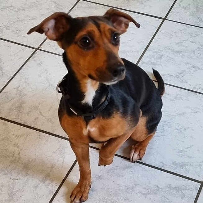 Xena