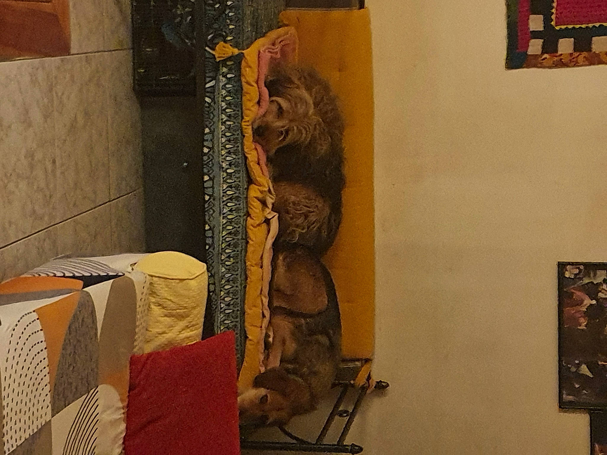 Naya participe au concours pour gagner de l'argent avec cette photo : art, artifact, building, chair, event, flooring, hardwood, house, linens, living_room, pattern, picture_frame, room, tablecloth, tree, visual_arts, wall, window, window_treatment, wood