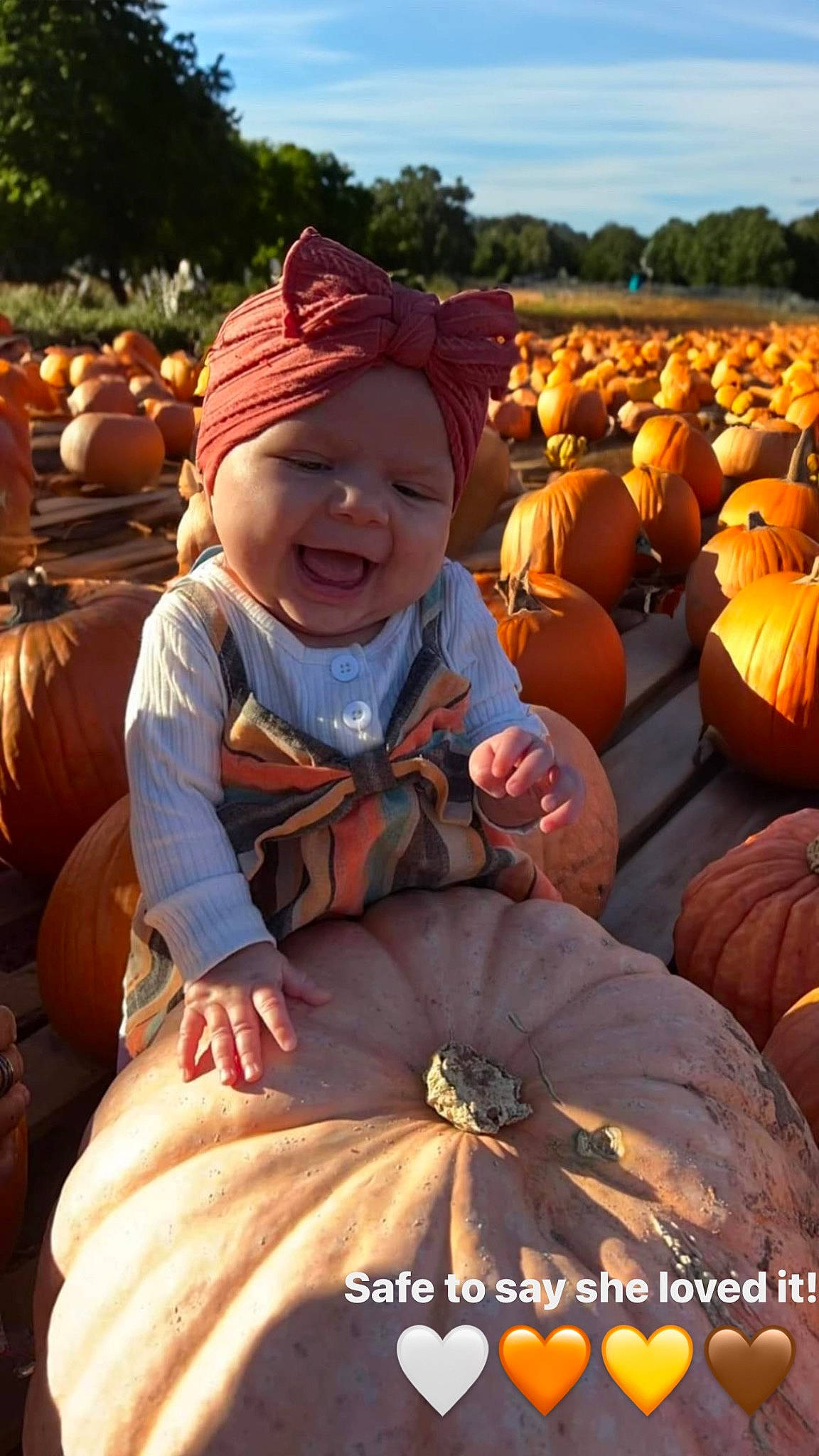 Kinsley Ann joined the competition — help win amazing prizes! calabaza, cucurbita, facial_expression, gourd, grass, happy, hat, headwear, landscape, natural_foods, orange, people_in_nature, person, plant, pumpkin, sky, smile, squash, toddler, tree