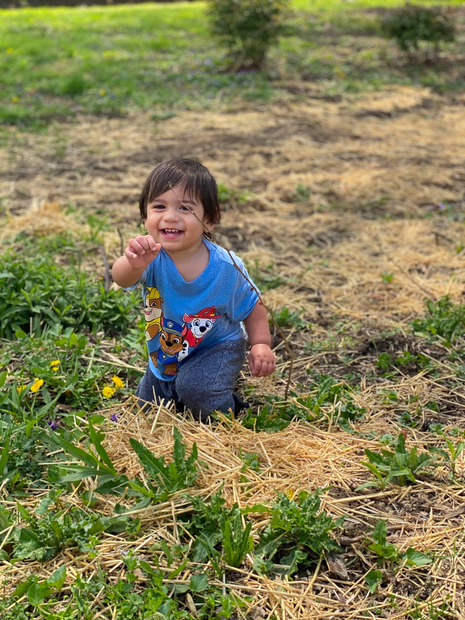 Zaiden joined the competition — help win amazing prizes! adaptation, child, farm, field, fun, grass, grass_family, grassland, happy, joy, meadow, people_in_nature, person, plant, plantation, play, smile, soil, spring, toddler