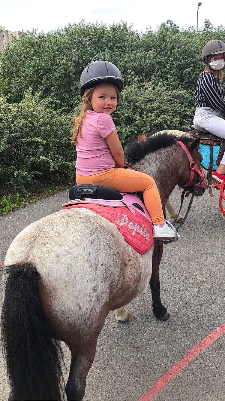 Louane participe au concours pour gagner de l'argent avec cette photo : bit, bridle, clothing, equestrian_helmet, equestrian_sport, equestrianism, halter, headgear, headwear, helmet, horse, horse_supplies, horse_tack, joy, mammal, mane, outdoor_recreation, person, plant, rein