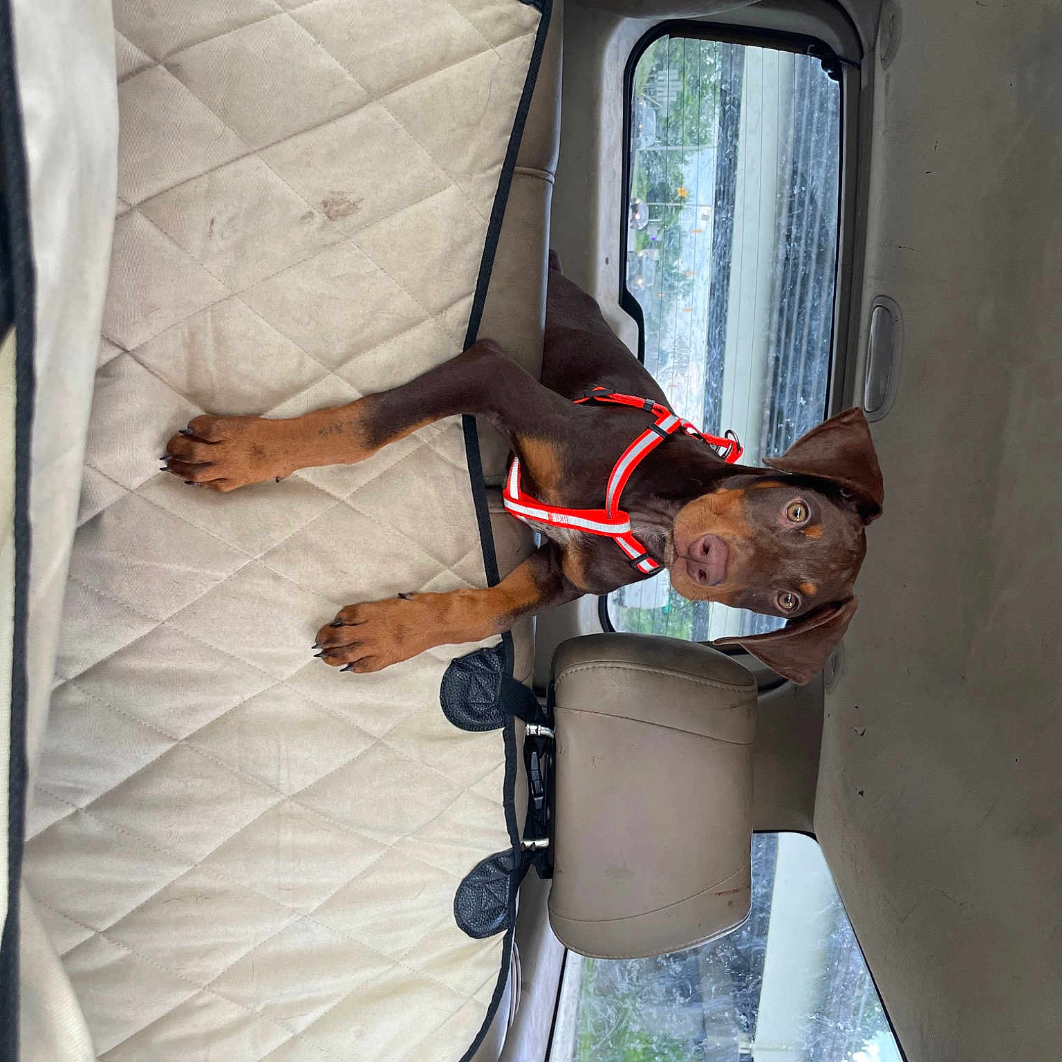 Boyka joined the competition — help win amazing prizes! auto_part, automotive_design, automotive_exterior, automotive_lighting, automotive_wheel_system, automotive_window_part, car, car_seat, car_seat_cover, child, comfort, family_car, luxury_vehicle, motor_vehicle, recreation, toddler, vehicle, vehicle_door, window, windshield