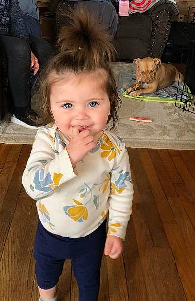 Callie is registered to the contest to win money with this photo: baby_toddler_clothing, black, chair, cheek, dog, event, eye, floor, flooring, fun, happy, hardwood, iris, mammal, person, skin, sleeve, smile, toddler, vertebrate