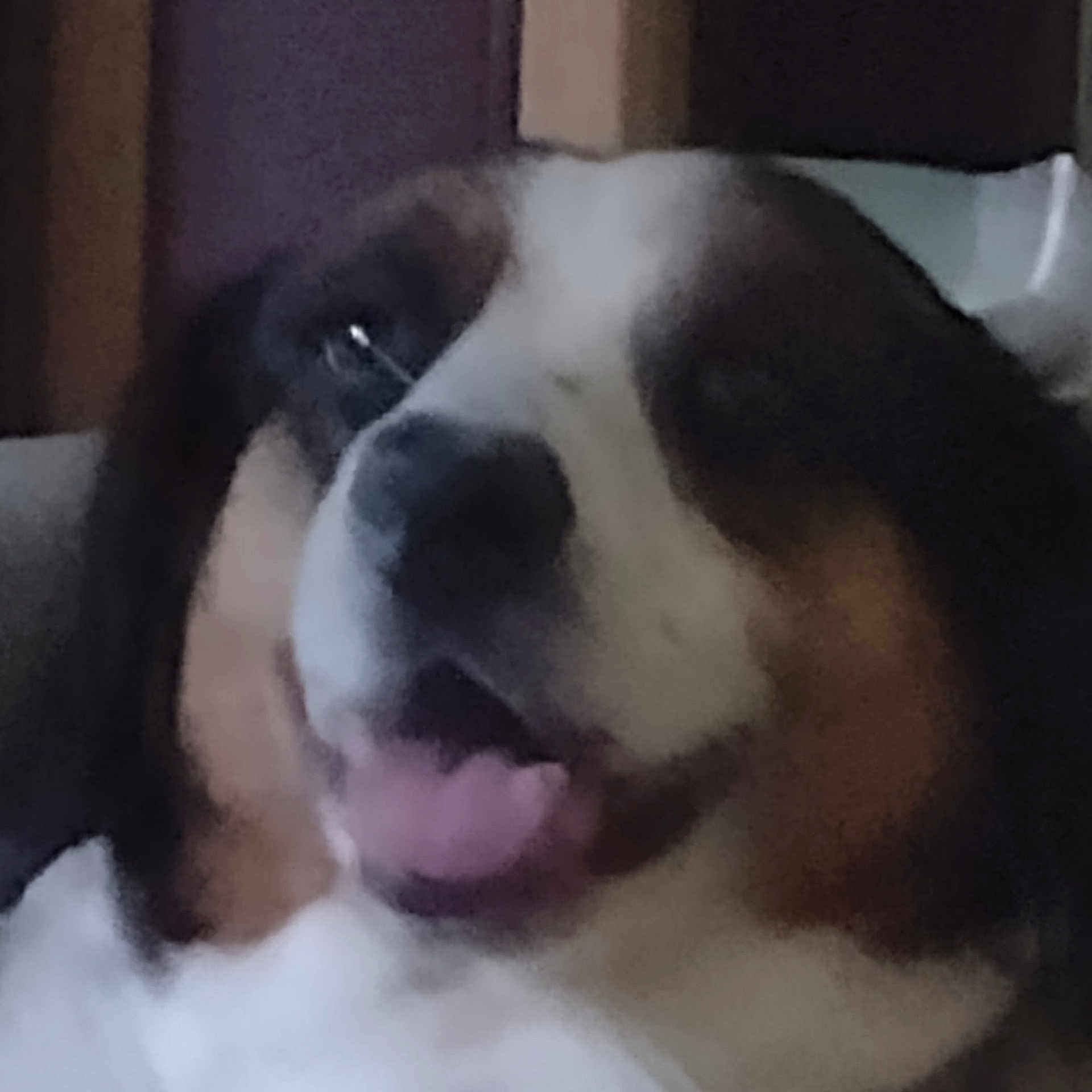 Molly