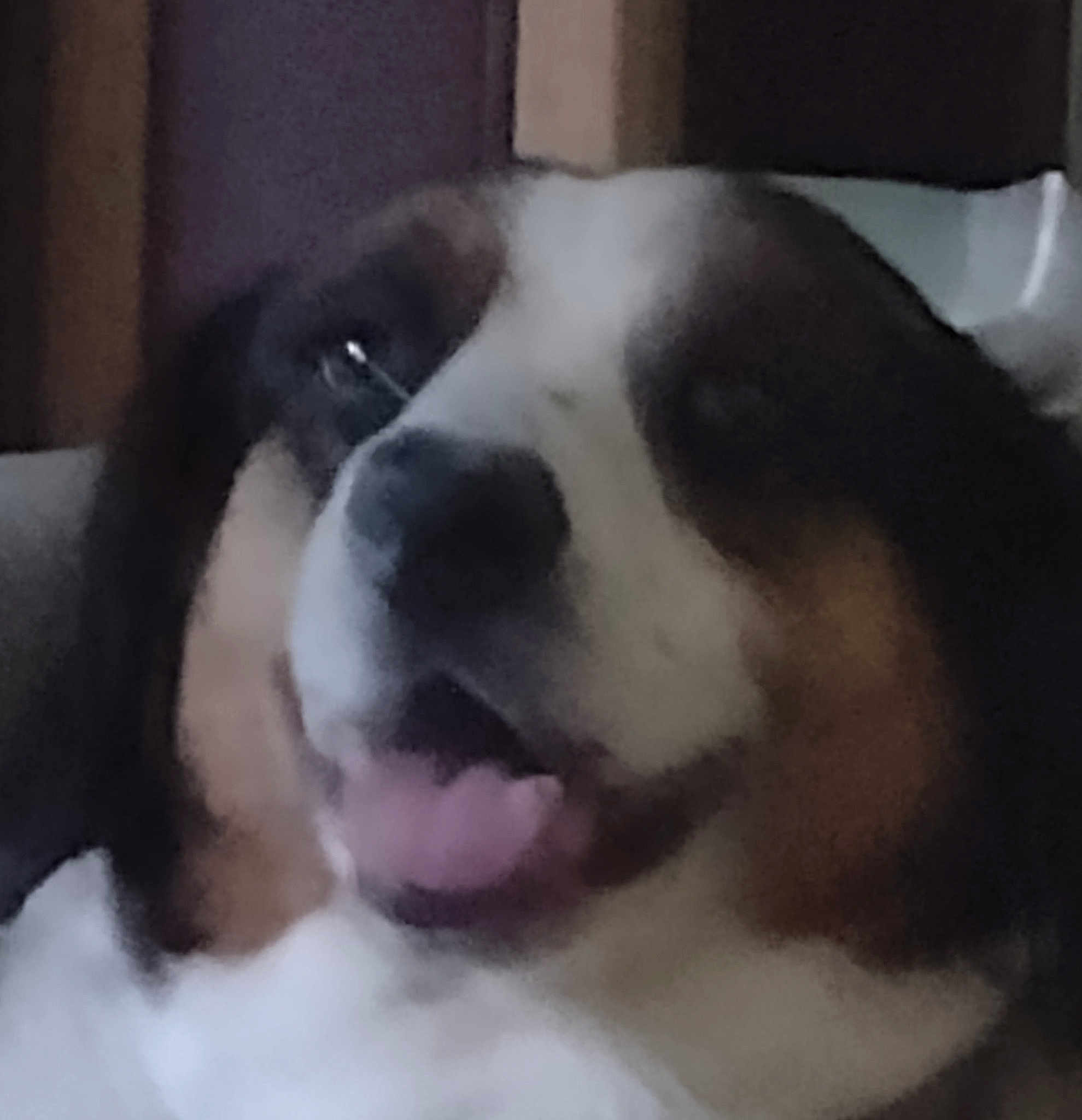 Molly