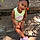 Alanna