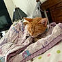 cat, sleeping, orange_cat, blanket, bed, bedroom, lamp, wooden_headboard, polka_dot, pastel_colors, cozy, indoor, pet, fur, rest, cute, animal, nap, comfort, feline