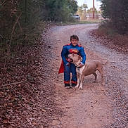 Moose is registered to the contest to win money with this photo: child, dog, superman_costume, outdoor, dirt_path, trees, leaves, forest, happy, pet, animal, boy, costume, nature, walking_path, grass, smile, friendship, casual, daylight