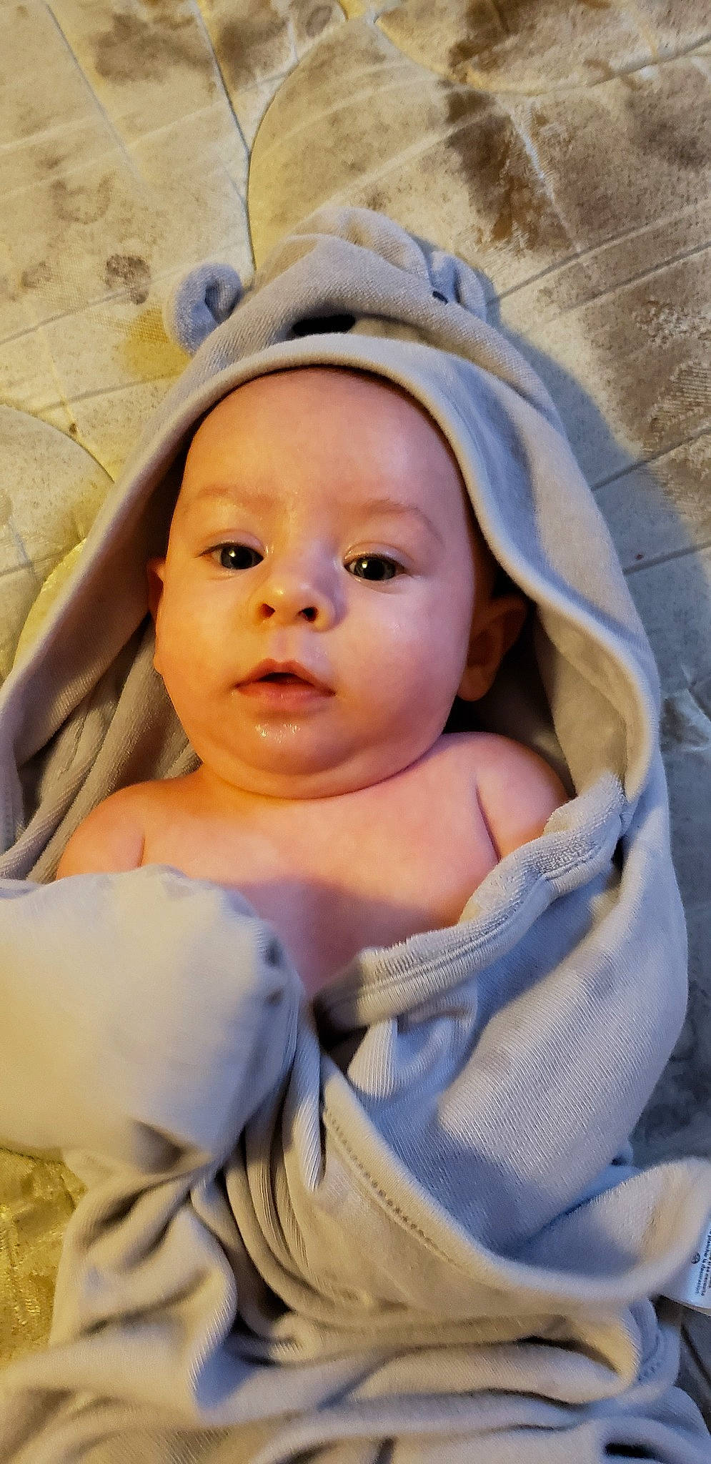 Carina joined the competition — help win amazing prizes! baby, baby_products, cheek, child, eye, face, head, iris, nose, person, product, skin, smile, toddler