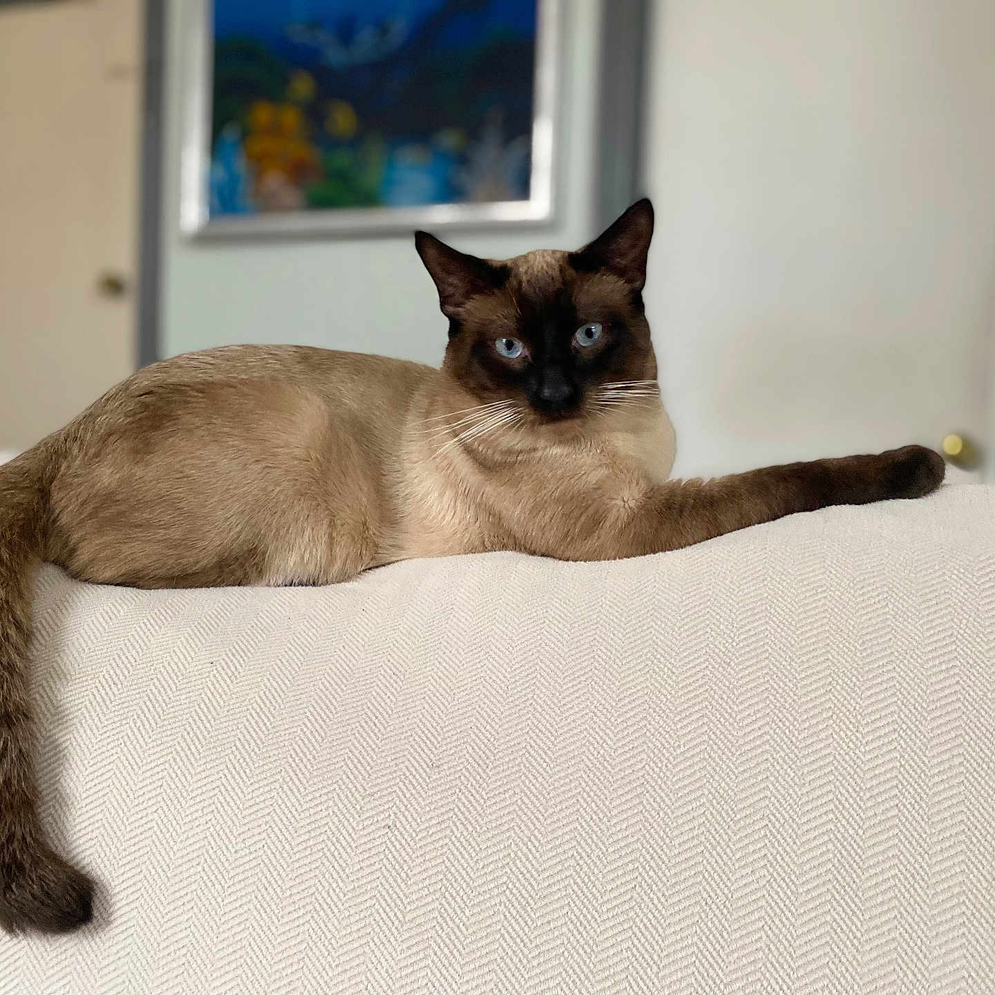 Jinx