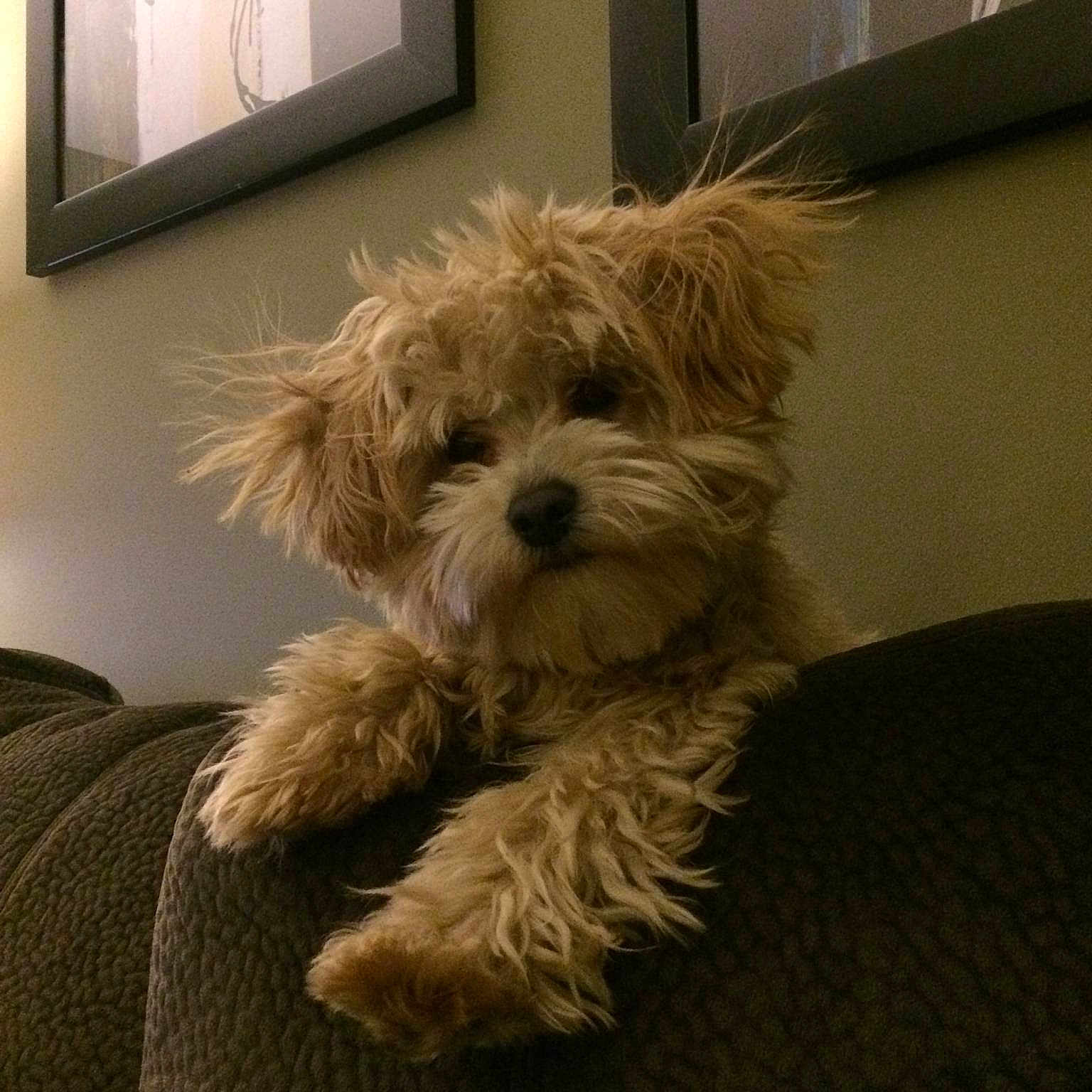 Weizen is registered to the contest to win money with this photo: