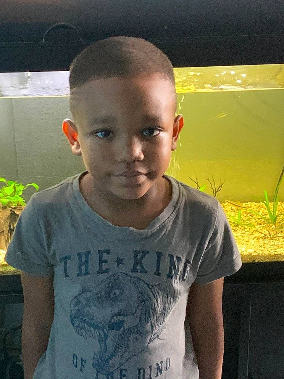 Lorenz a rejoint le concours — aidez-le/la à gagner de superbes lots ! buzz_cut, child, chin, cool, ear, forehead, hair, hairstyle, head, neck, person, t_shirt