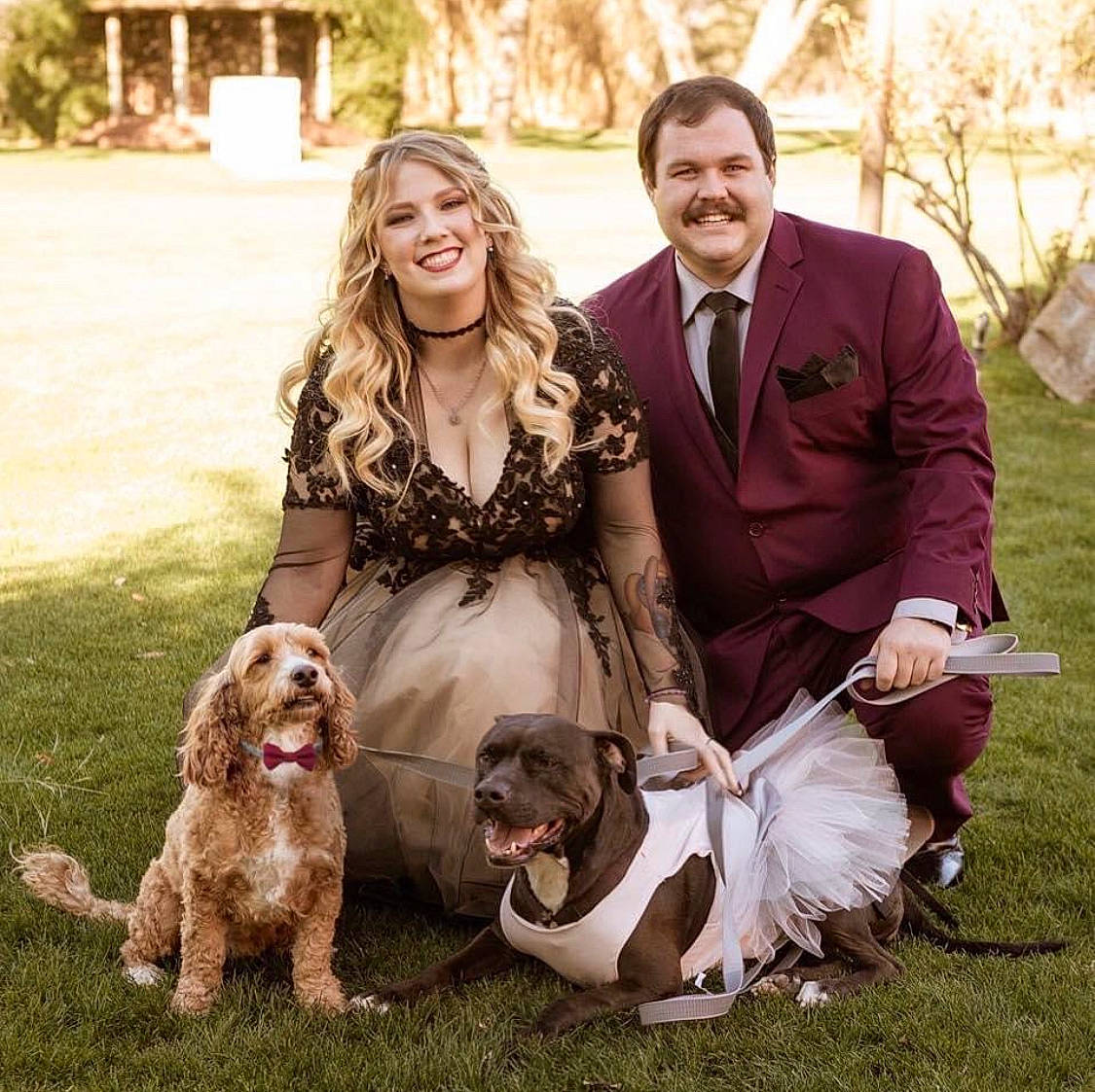 Mr. Pickles is registered to the contest to win money with this photo: american_cocker_spaniel, canidae, carnivore, cocker_spaniel, companion_dog, dog, dog_breed, english_cocker_spaniel, family, formal_wear, grass, happy, king_charles_spaniel, mammal, spaniel, sporting_group, sussex_spaniel