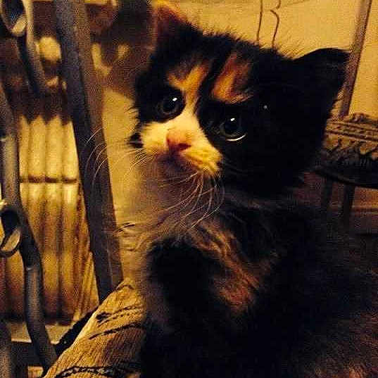 Elizabeth joined the competition — help win amazing prizes!