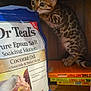 Tails is registered to the contest to win money with this photo: kitten, cat, spotted, books, wooden_shelf, curious, indoor, epsom_salt, dr_teals, package, coconut_oil, pet, animal, feline, young, brown, black_spots, standing, closeup, wood_surface