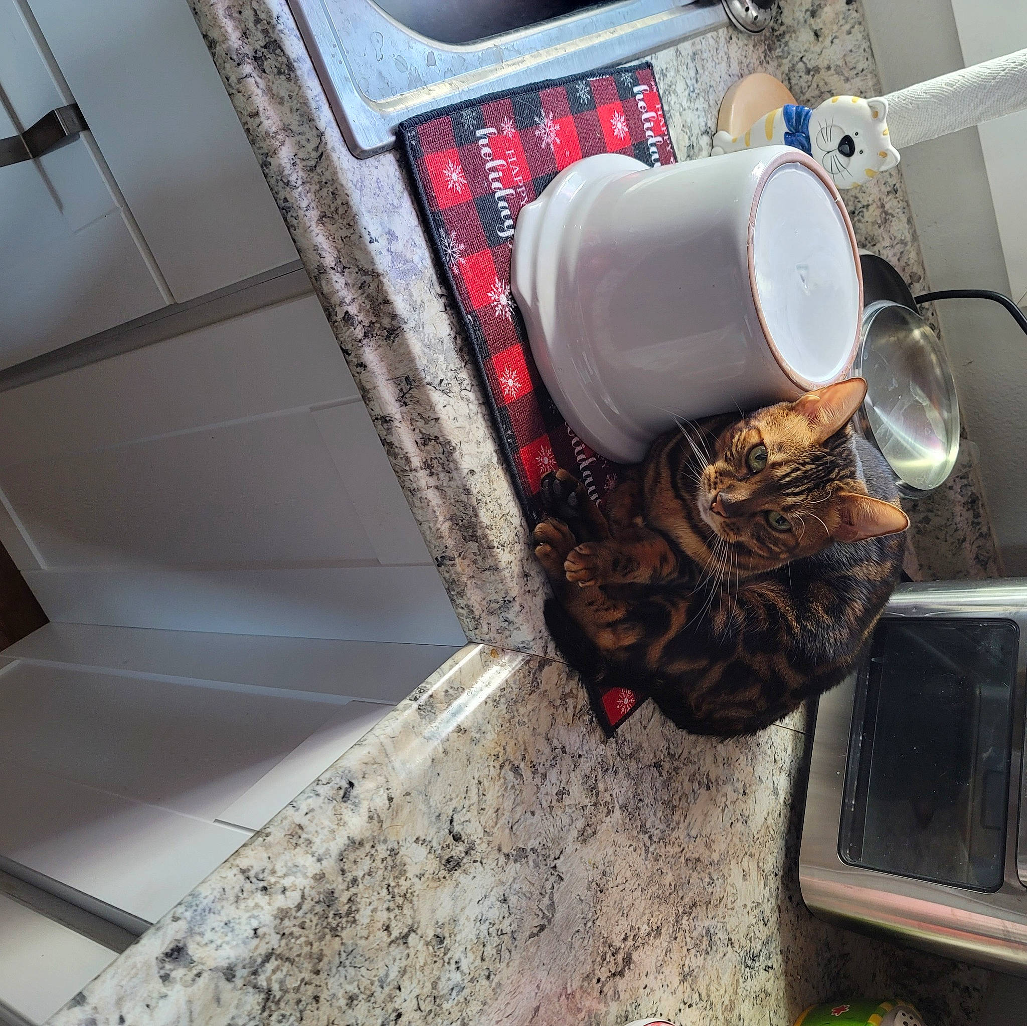 Blacktie Kai is registered to the contest to win money with this photo: auto_part, automotive_exterior, bumper, ceiling, daylighting, electrical_wiring, gas, machine, metal, pipe, room, stairs, tints_and_shades, vehicle_door, windshield, wood